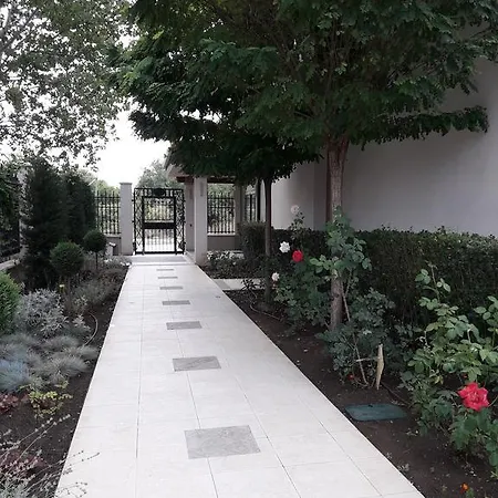 Stella Udacha & * ساني بيتش